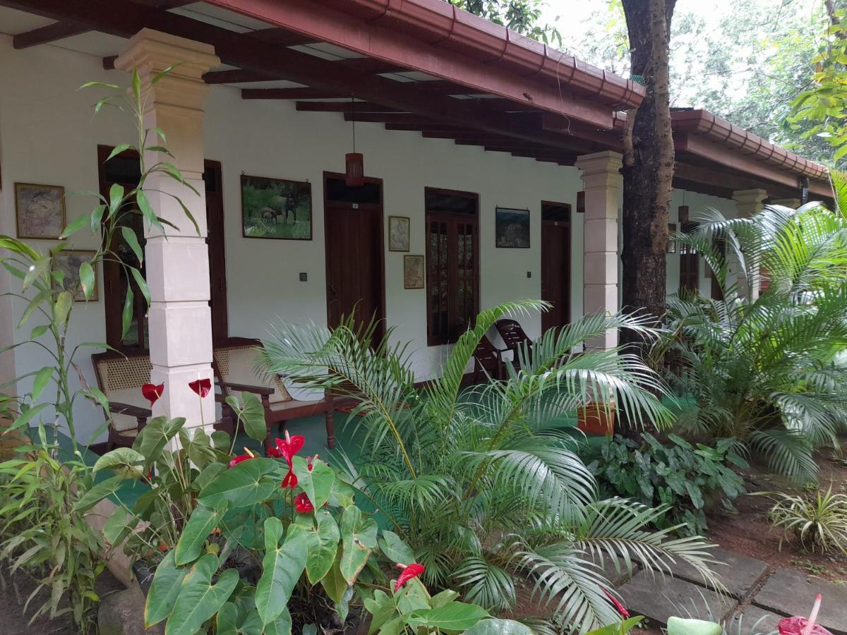 Sigiri Jungle Villa Sigiriya Dış mekan fotoğraf