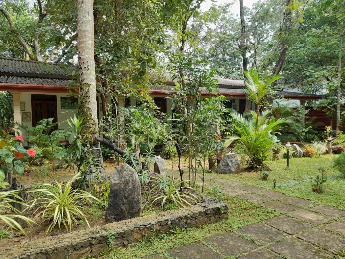 Sigiri Jungle Villa Sigiriya Dış mekan fotoğraf