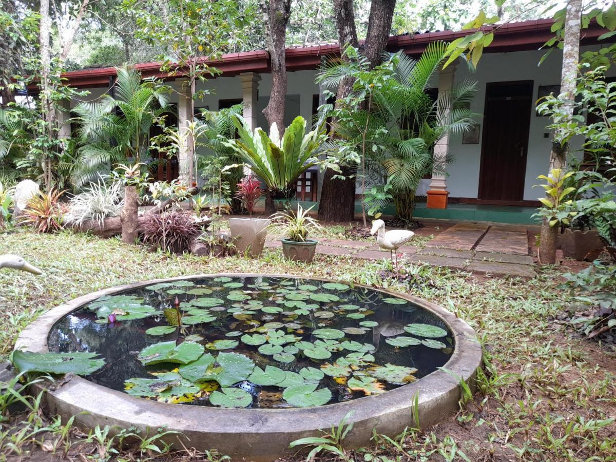 Sigiri Jungle Villa Sigiriya Dış mekan fotoğraf