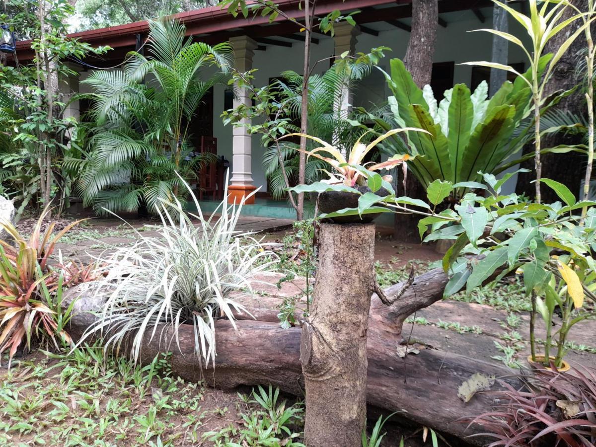Sigiri Jungle Villa Sigiriya Dış mekan fotoğraf