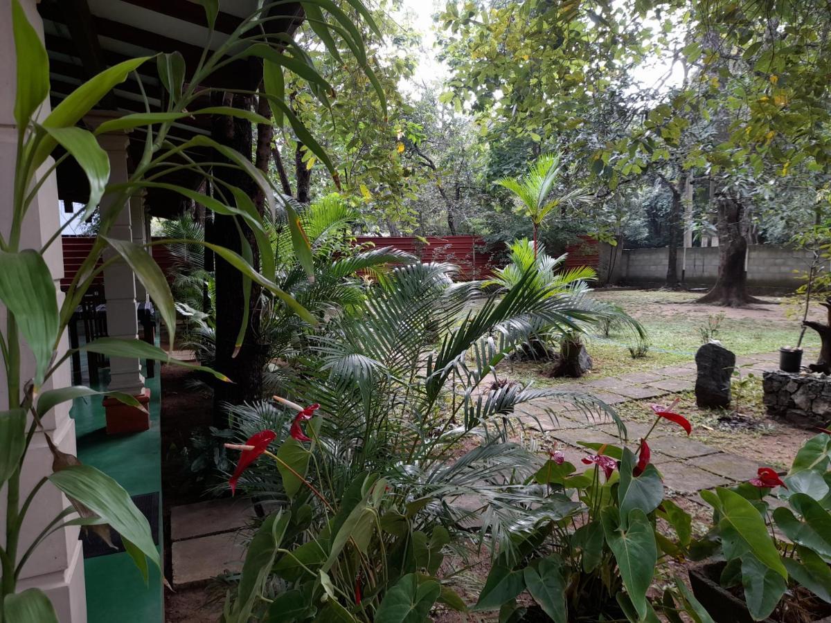 Sigiri Jungle Villa Sigiriya Dış mekan fotoğraf