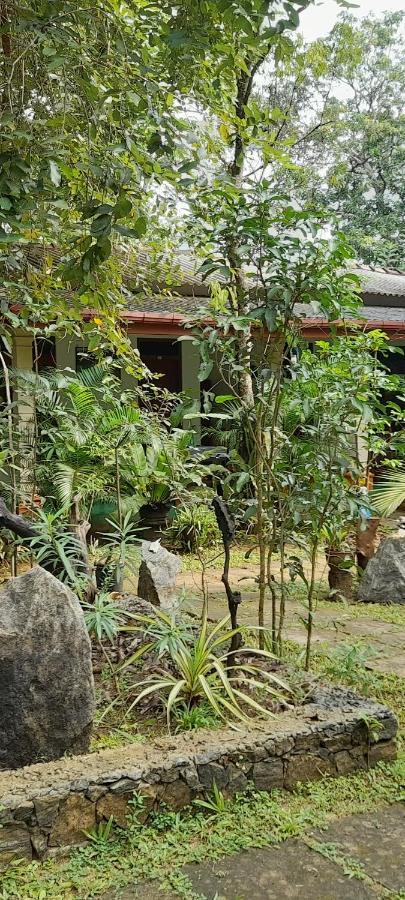 Sigiri Jungle Villa Sigiriya Dış mekan fotoğraf